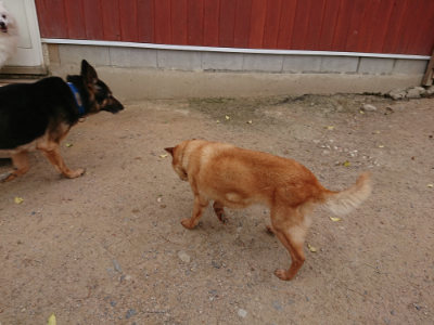 f:id:roukenhome-ann:20190519052251j:plain