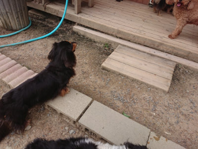 f:id:roukenhome-ann:20190519052301j:plain