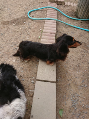 f:id:roukenhome-ann:20190519052306j:plain