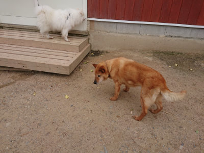 f:id:roukenhome-ann:20190519052314j:plain