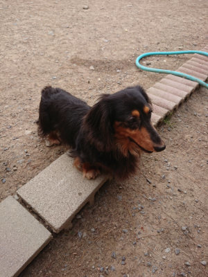 f:id:roukenhome-ann:20190519052320j:plain