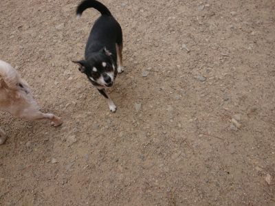 f:id:roukenhome-ann:20190519052332j:plain