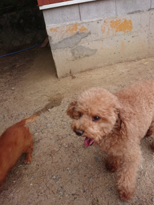 f:id:roukenhome-ann:20190519052350j:plain