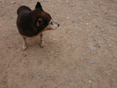 f:id:roukenhome-ann:20190519052435j:plain