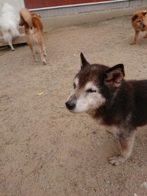 f:id:roukenhome-ann:20190519052531j:plain