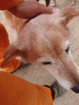 f:id:roukenhome-ann:20190519052544j:plain
