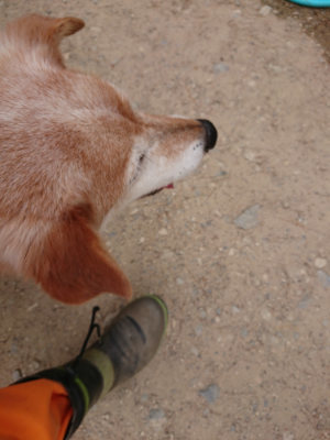 f:id:roukenhome-ann:20190519052548j:plain