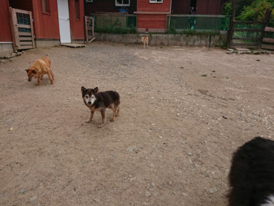 f:id:roukenhome-ann:20190519052602j:plain