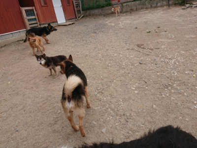 f:id:roukenhome-ann:20190519052612j:plain