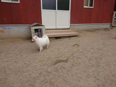 f:id:roukenhome-ann:20190519052620j:plain