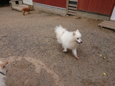 f:id:roukenhome-ann:20190519062330j:plain