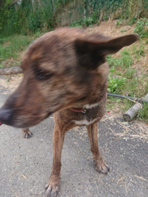 f:id:roukenhome-ann:20190519062528j:plain