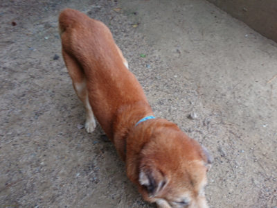 f:id:roukenhome-ann:20190519062542j:plain