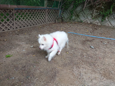 f:id:roukenhome-ann:20190519062601j:plain