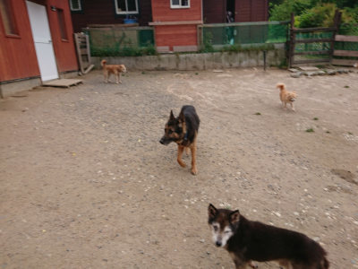 f:id:roukenhome-ann:20190519062609j:plain