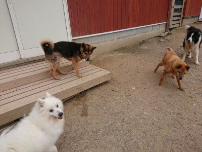 f:id:roukenhome-ann:20190519062613j:plain