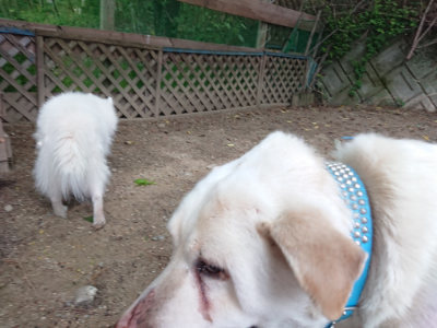 f:id:roukenhome-ann:20190519062628j:plain