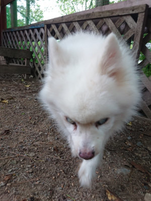 f:id:roukenhome-ann:20190519062633j:plain