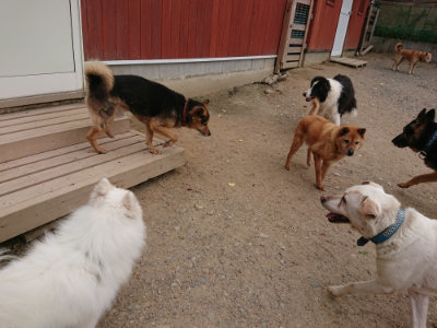 f:id:roukenhome-ann:20190519062637j:plain