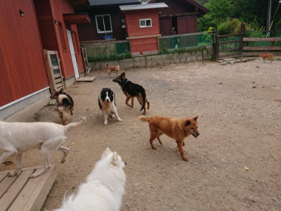 f:id:roukenhome-ann:20190519062648j:plain