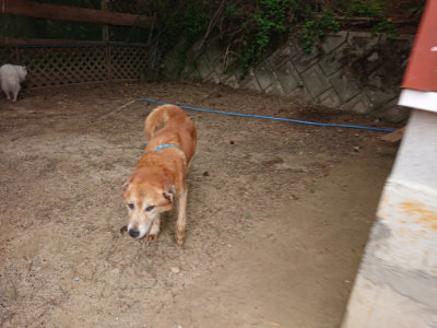 f:id:roukenhome-ann:20190519062653j:plain
