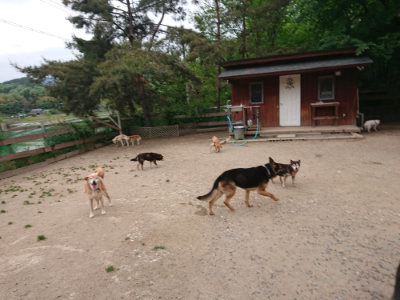 f:id:roukenhome-ann:20190519062708j:plain