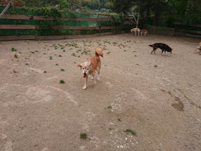 f:id:roukenhome-ann:20190519062712j:plain