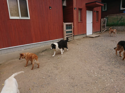 f:id:roukenhome-ann:20190519062717j:plain