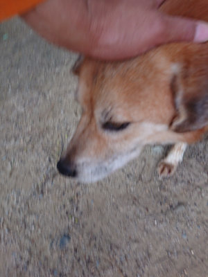 f:id:roukenhome-ann:20190519062722j:plain