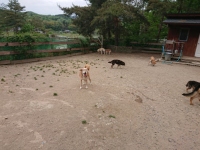 f:id:roukenhome-ann:20190519062732j:plain
