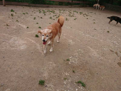 f:id:roukenhome-ann:20190519062737j:plain