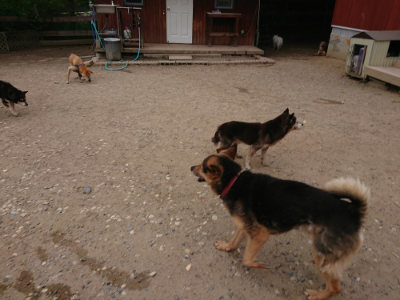 f:id:roukenhome-ann:20190519062743j:plain