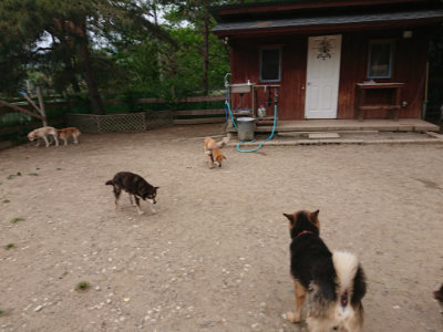f:id:roukenhome-ann:20190519062747j:plain