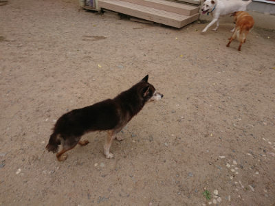 f:id:roukenhome-ann:20190519062752j:plain