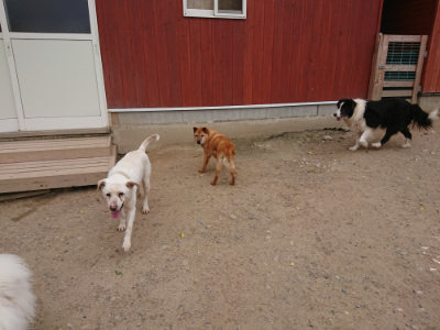 f:id:roukenhome-ann:20190519062757j:plain