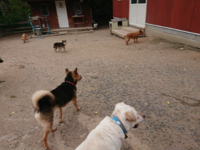 f:id:roukenhome-ann:20190519062819j:plain