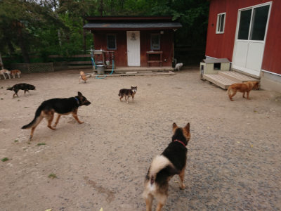 f:id:roukenhome-ann:20190519062825j:plain