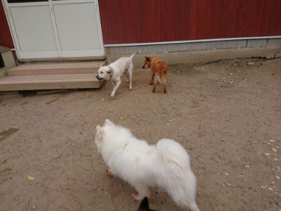 f:id:roukenhome-ann:20190519062829j:plain