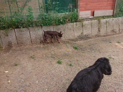 f:id:roukenhome-ann:20190519063639j:plain