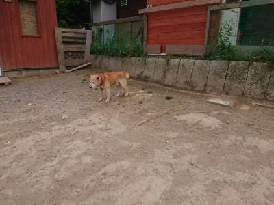 f:id:roukenhome-ann:20190519063659j:plain
