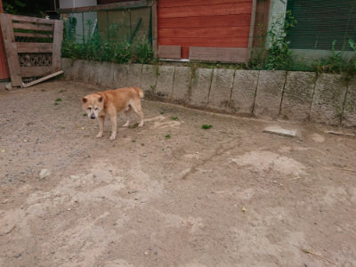 f:id:roukenhome-ann:20190519063703j:plain