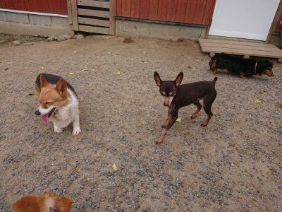f:id:roukenhome-ann:20190519063806j:plain