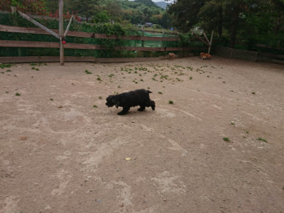 f:id:roukenhome-ann:20190519063811j:plain