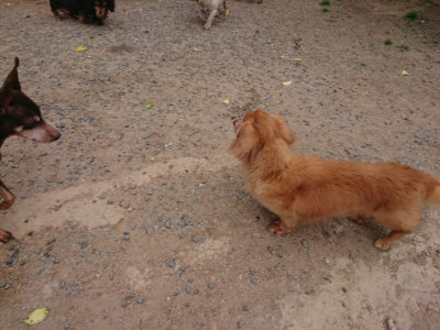 f:id:roukenhome-ann:20190519063833j:plain