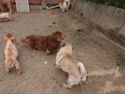 f:id:roukenhome-ann:20190519063858j:plain