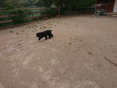 f:id:roukenhome-ann:20190519063917j:plain
