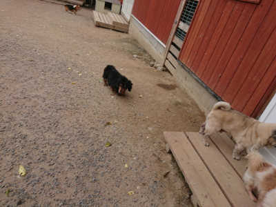 f:id:roukenhome-ann:20190519063927j:plain
