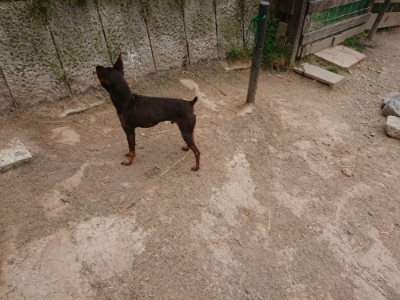 f:id:roukenhome-ann:20190519063932j:plain