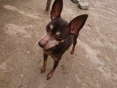 f:id:roukenhome-ann:20190519063936j:plain