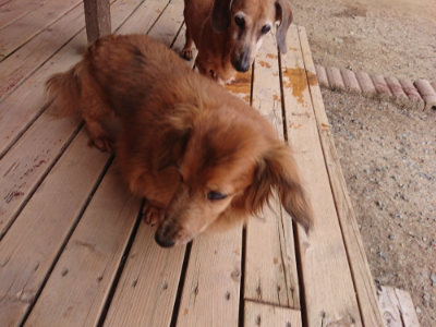f:id:roukenhome-ann:20190519063948j:plain